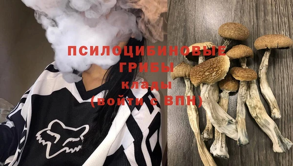 2c-b Алзамай