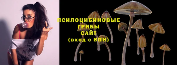 2c-b Алзамай