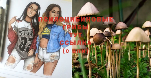 герыч Алексин
