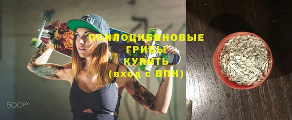 2c-b Алзамай